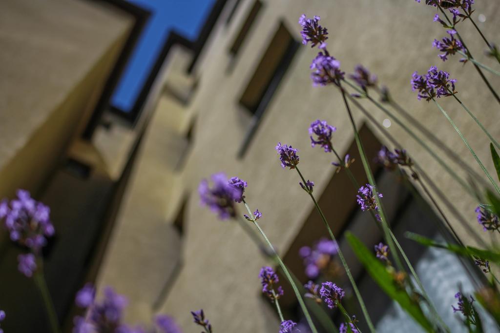Hotel Five Seasons Fuerth Exterior photo